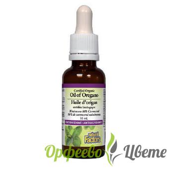 ХРАНИТЕЛНИ ДОБАВКИ Антиоксиданти Риган 30 mg Органик масло 30 ml / Oil of Oregano 30 ml